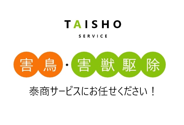 taisho service 害鳥・害獣駆除　泰商サービスにお任せください！